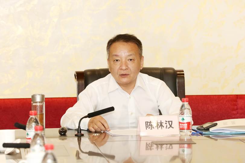 说明: D:\李子丹\新闻和照片\2019\学术\11.83200威尼斯vip\陈林汉.JPG